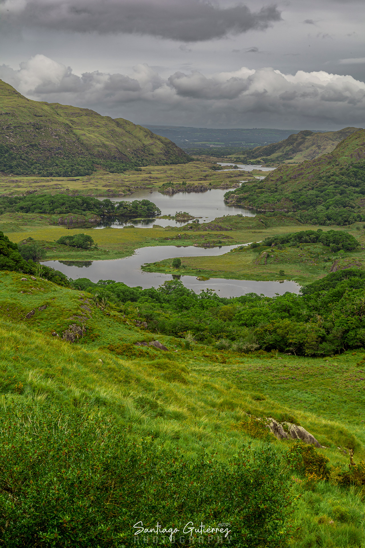 Escocia Irlanda 2016